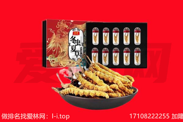 泰顺县回收虫草.jpg